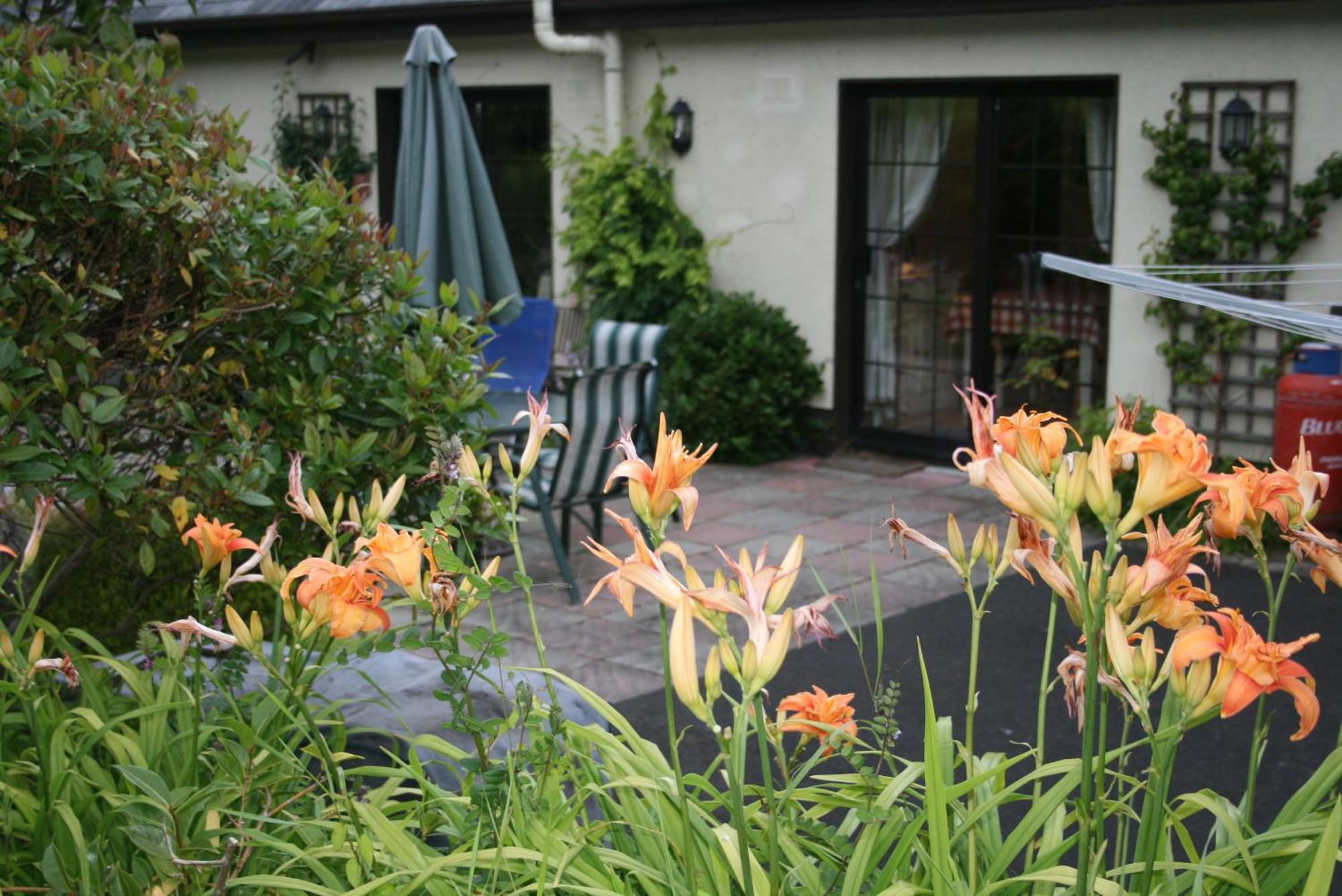 Dunaree Bed And Breakfast Bunratty Extérieur photo