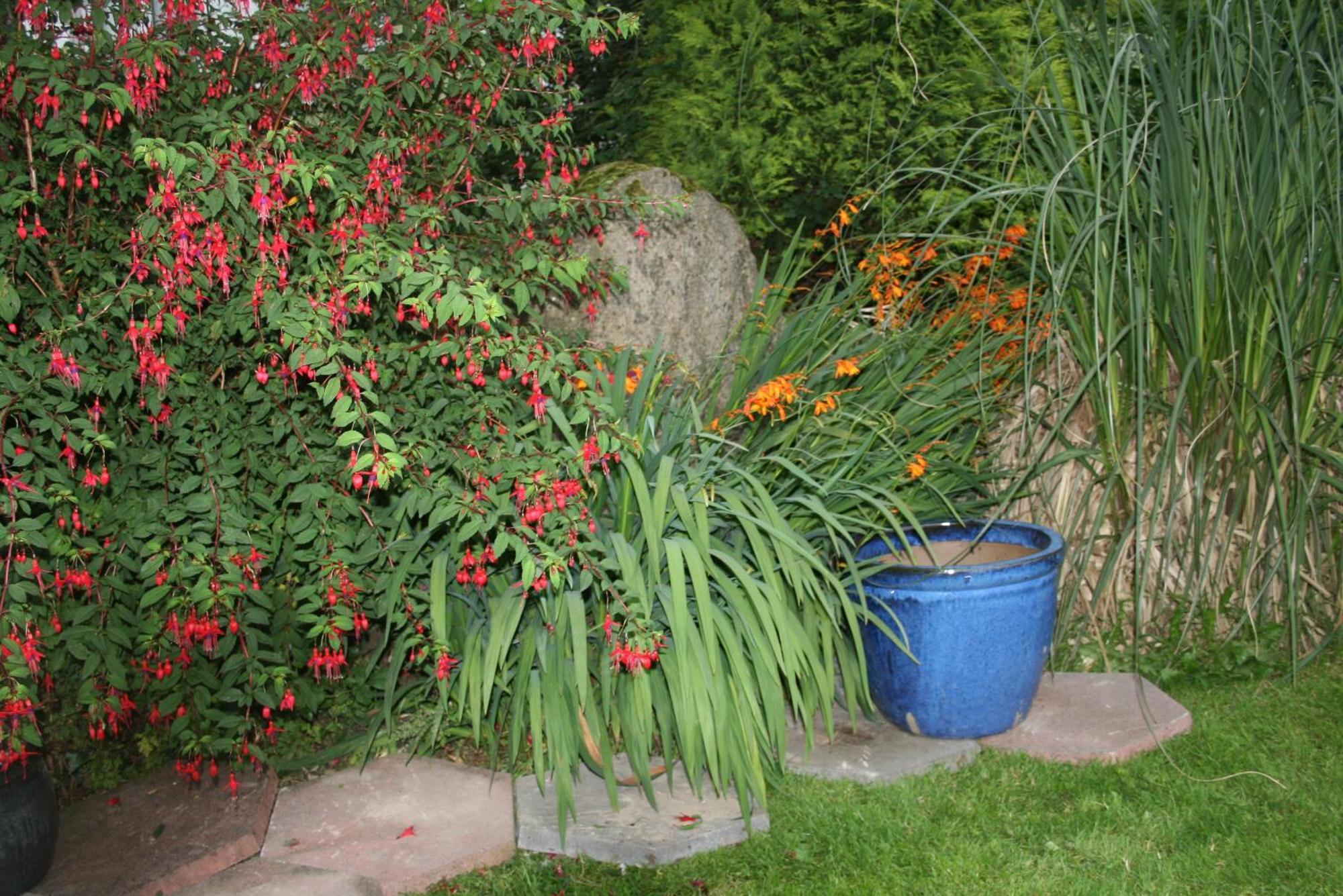 Dunaree Bed And Breakfast Bunratty Extérieur photo
